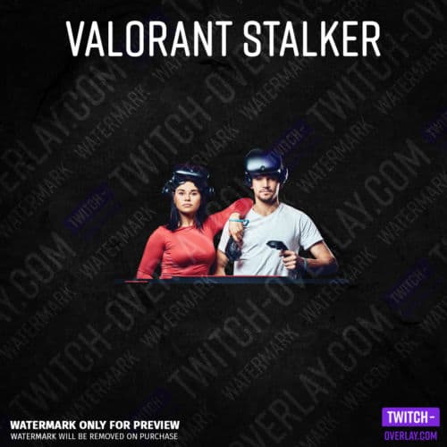 Valorant Webcam Overlay Stalker Edition Greenscreen Webcam Overlay ohne Donation-Bar