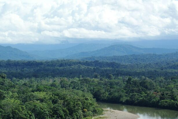 Ecuador da un Giro: Prefiere Proteger la Amazonia Sobre la Explotación Petrolera y Minera