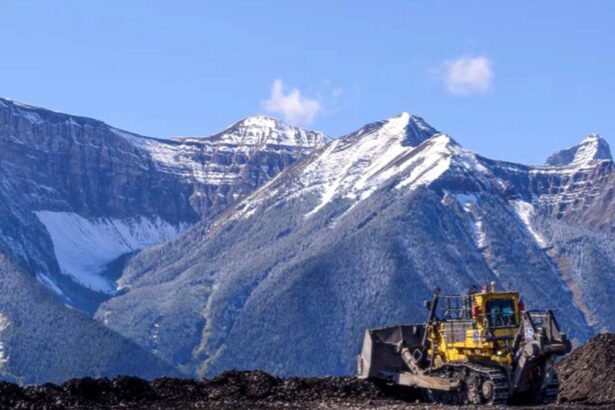 Un Proceso de Venta Extensivo: La unidad de carbón de Teck enfrenta una avalancha de propuestas inesperadas