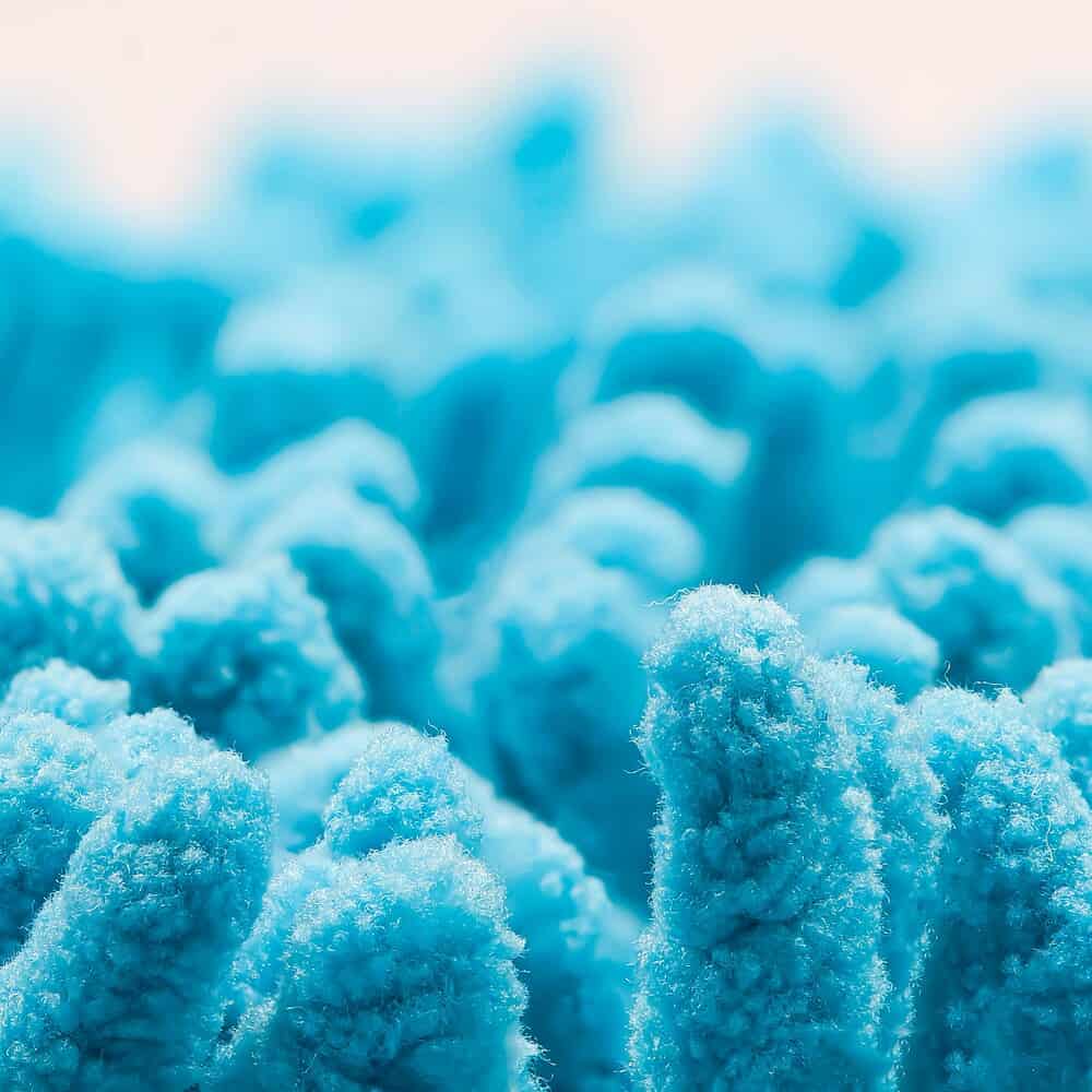 Disrupted sleep increases blood pressure and alters gut microbiome in rats