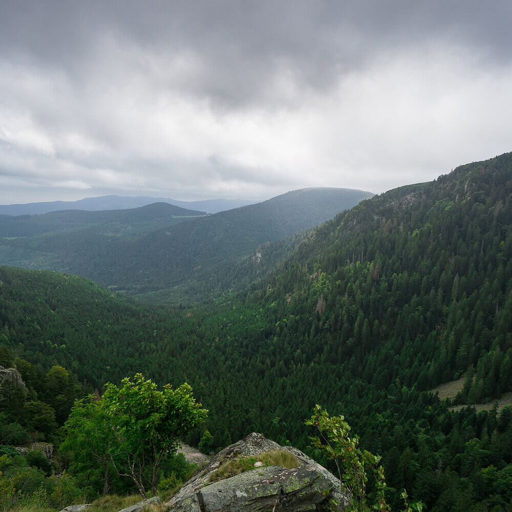 Food in the French countryside: a chat with Daniel Galmiche